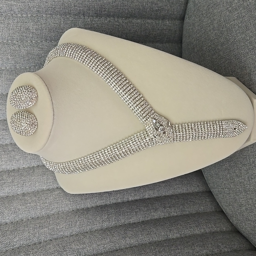 Timeless Snake Statement Necklace & Earrings Set In Silver Crystal, NWT